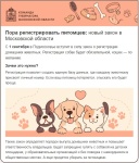 С 1 сентября в Подмосковье вступает в силу закон о регистрации домашних животных.